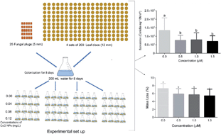 Graphical abstract: Short-term exposure to low concentrations of copper oxide nanoparticles can negatively impact the ecological performance of a cosmopolitan freshwater fungus