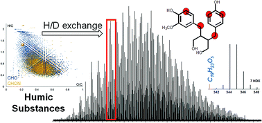 Graphical abstract: Structural investigation of coal humic substances by selective isotopic exchange and high-resolution mass spectrometry
