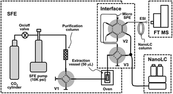 Graphical abstract: Online supercritical fluid extraction mass spectrometry (SFE-LC-FTMS) for sensitive characterization of soil organic matter