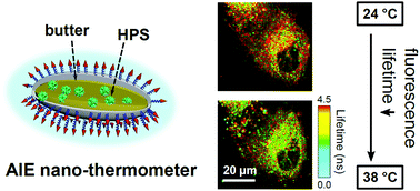 Graphical abstract: A simple yet effective AIE-based fluorescent nano-thermometer for temperature mapping in living cells using fluorescence lifetime imaging microscopy
