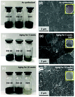 Graphical abstract: An investigation into the factors governing the oxidation of two-dimensional Ti3C2 MXene