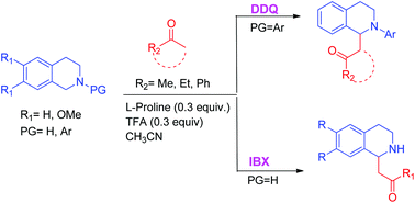 Graphical abstract: Dehydrogenative C(sp3)–H bond functionalization of tetrahydroisoquinolines mediated by organic oxidants under mild conditions