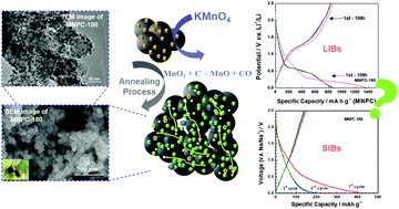 Graphical abstract: Synthesis and thermodynamic investigation of MnO nanoparticle anchored N-doped porous carbon as the anode for Li-ion and Na-ion batteries