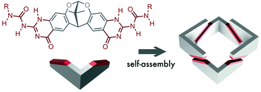 Graphical abstract: Supramolecular crowns: a new class of cyclic hydrogen-bonded cavitands