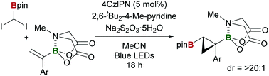 Graphical abstract: Photocatalytic borylcyclopropanation of α-boryl styrenes