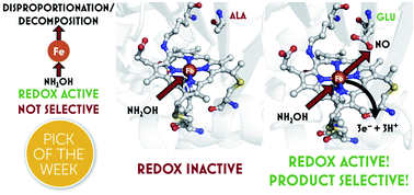 Graphical abstract: Controlling a burn: outer-sphere gating of hydroxylamine oxidation by a distal base in cytochrome P460