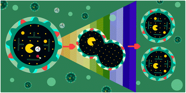 Graphical abstract: Self-division of giant vesicles driven by an internal enzymatic reaction