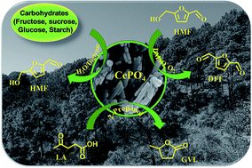 Graphical abstract: CePO4, a multi-functional catalyst for carbohydrate biomass conversion: production of 5-hydroxymethylfurfural, 2,5-diformylfuran, and γ-valerolactone