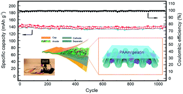 Graphical abstract: Artificial electrode interfaces enable stable operation of freestanding anodes for high-performance flexible lithium ion batteries