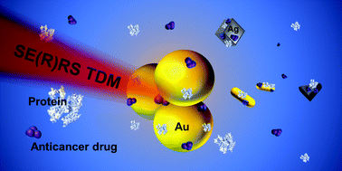 Graphical abstract: An overview of therapeutic anticancer drug monitoring based on surface enhanced (resonance) Raman spectroscopy (SE(R)RS)