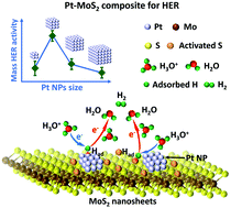 Graphical abstract: Size-selective synthesis of platinum nanoparticles on transition-metal dichalcogenides for the hydrogen evolution reaction