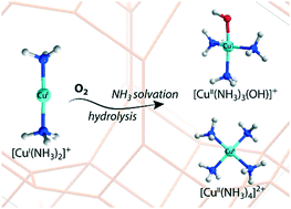 Graphical abstract: Mechanistic insights into the oxidation of copper(i) species during NH3-SCR over Cu-CHA zeolites: a DFT study