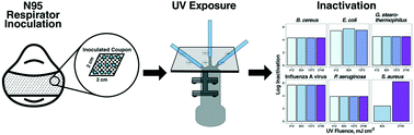 Graphical abstract: Characterization of a commercially-available, low-pressure UV lamp as a disinfection system for decontamination of common nosocomial pathogens on N95 filtering facepiece respirator (FFR) material