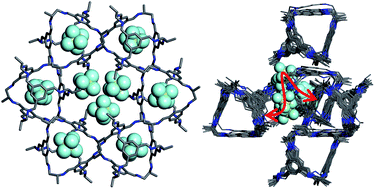 Graphical abstract: Exploring cooperative porosity in organic cage crystals using in situ diffraction and molecular simulations