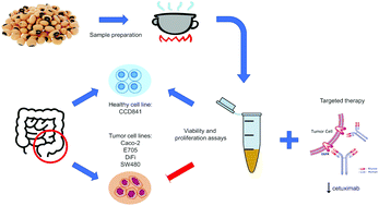 Graphical abstract: Effectiveness of Vigna unguiculata seed extracts in preventing colorectal cancer