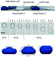 Graphical abstract: Everything in its right place: controlling the local composition of hydrogels using microfluidic traps