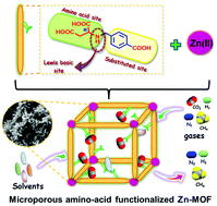 Graphical abstract: A microporous, amino acid functionalized Zn(ii)-organic framework nanoflower for selective CO2 capture and solvent encapsulation