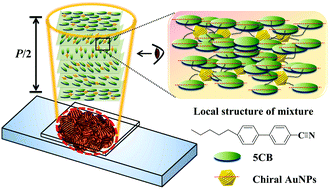 Graphical abstract: Chirality enhancement in macro-chiral liquid crystal nanoparticles