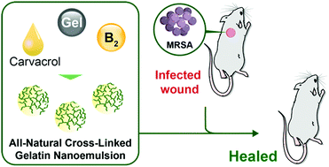 Graphical abstract: Nanotherapeutics using all-natural materials. Effective treatment of wound biofilm infections using crosslinked nanoemulsions