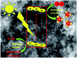 Graphical abstract: Bandgap engineering via boron and sulphur doped carbon modified anatase TiO2: a visible light stimulated photocatalyst for photo-fixation of N2 and TCH degradation