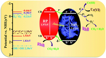Graphical abstract: Enhancement of the photocatalytic synchronous removal of Cr(vi) and RhB over RP-modified flower-like SnS2