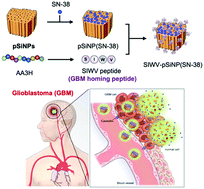 Graphical abstract: A brain tumor-homing tetra-peptide delivers a nano-therapeutic for more effective treatment of a mouse model of glioblastoma