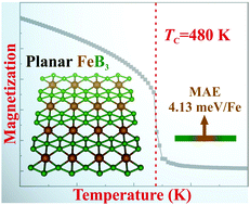 Graphical abstract: Prediction of room-temperature ferromagnetism and large perpendicular magnetic anisotropy in a planar hypercoordinate FeB3 monolayer