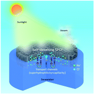 Graphical abstract: Superhydrophilic porous carbon foam as a self-desalting monolithic solar steam generation device with high energy efficiency