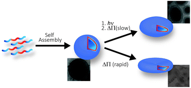 Graphical abstract: Shape-transformation of polymersomes from glassy and crosslinkable ABA triblock copolymers