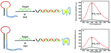 Graphical abstract: Comparative evaluation and design of a G-triplex/thioflavin T-based molecular beacon