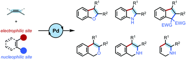 Graphical abstract: Recent advances in palladium-catalyzed (hetero)annulation of C [[double bond, length as m-dash]] C bonds with ambiphilic organo(pseudo)halides