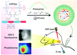 Graphical abstract: A metal–polyphenolic nanosystem with NIR-II fluorescence-guided combined photothermal therapy and radiotherapy