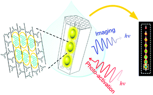 Graphical abstract: Optical encoding of luminescent carbon nanodots in confined spaces
