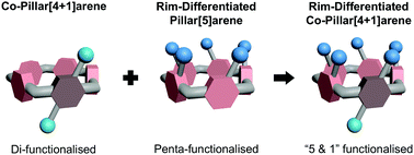 Graphical abstract: Rim-differentiated Co-pillar[4+1]arenes