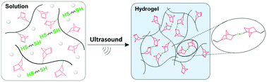Graphical abstract: Ultrasound-triggered hydrogel formation through thiol–norbornene reactions