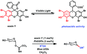 Graphical abstract: Visible-light-induced photoacid catalysis: application in glycosylation with O-glycosyl trichloroacetimidates