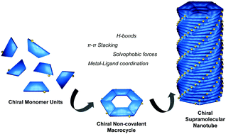 Graphical abstract: Chiral nanotubes self-assembled from discrete non-covalent macrocycles
