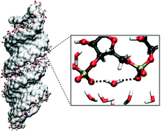 Graphical abstract: The mutual interactions of RNA, counterions and water – quantifying the electrostatics at the phosphate–water interface