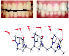 Graphical abstract: Structure and hydration of polyvinylpyrrolidone–hydrogen peroxide