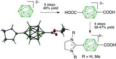 Graphical abstract: [closo-B10H8-1,10-(COOH)2]2−: a building block for functional materials?