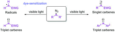 Graphical abstract: Unlocking novel reaction pathways of diazoalkanes with visible light