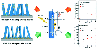 Graphical abstract: Spacing prior to decorating TiO2 nanowires with dewetted Au nanoparticles for boosting photoelectrochemical water oxidation