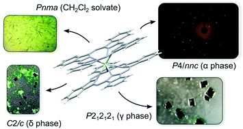 Graphical abstract: Selective crystallization of four bis(phthalocyaninato)lanthanoid(iii) polymorphs