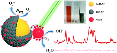 Graphical abstract: In situ SERS monitoring of photocatalysts by Au-decorated Fe3O4@TiO2 nanocomposites: novel perspectives and insights