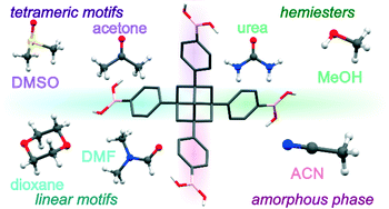 Graphical abstract: Design of solvatomorphic structures based on a polyboronated tetraphenyladamantane molecular tecton