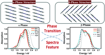 Graphical abstract: Vibrationally resolved absorption spectra and ultrafast exciton dynamics in α-phase and β-phase zinc phthalocyanine aggregates