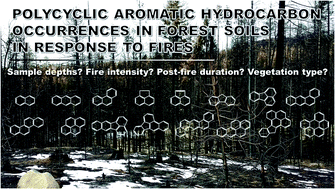 Graphical abstract: Polycyclic aromatic hydrocarbon occurrence in forest soils in response to fires: a summary across sites