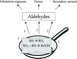 Graphical abstract: Formation pathways of aldehydes from heated cooking oils