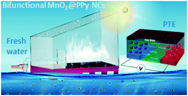 Graphical abstract: Bifunctional in situ polymerized nanocomposites for convective solar desalination and enhanced photo-thermoelectric power generation