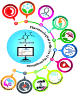 Graphical abstract: Therapeutic perspectives of the black cumin component thymoquinone: A review